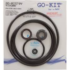 Aladdin Go-KIT79v Go Kit for Sta-Rite Max-e-Pro Pump Repair Kit