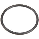 Pentair O-Ring U9-226Z