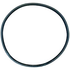 Pentair 355329Z Challenger Housing Square 0-Ring