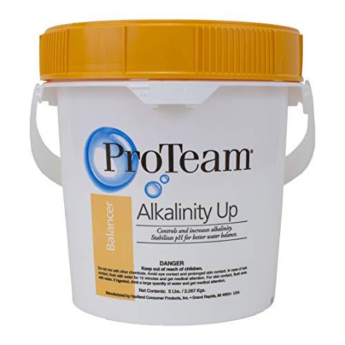 Proteam Alkalinity Up 5lb Pail for Pool Water Balance